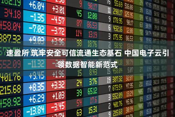 速盈所 筑牢安全可信流通生态基石 中国电子云引领数据智能新范式