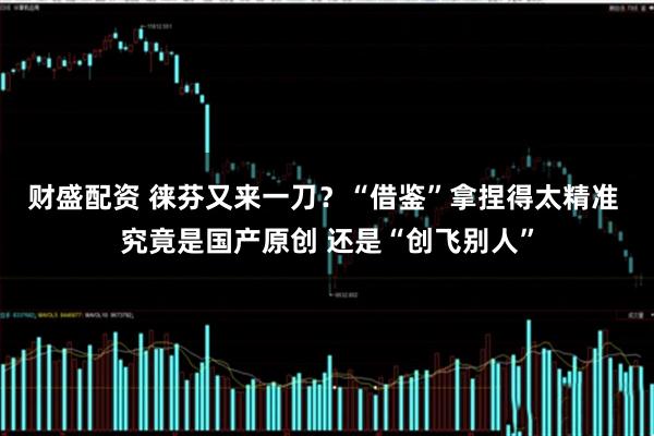 财盛配资 徕芬又来一刀？“借鉴”拿捏得太精准 究竟是国产原创 还是“创飞别人”