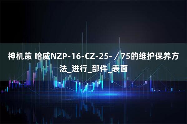 神机策 哈威NZP-16-CZ-25-／75的维护保养方法_进行_部件_表面