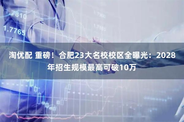 淘优配 重磅！合肥23大名校校区全曝光：2028年招生规模最高可破10万