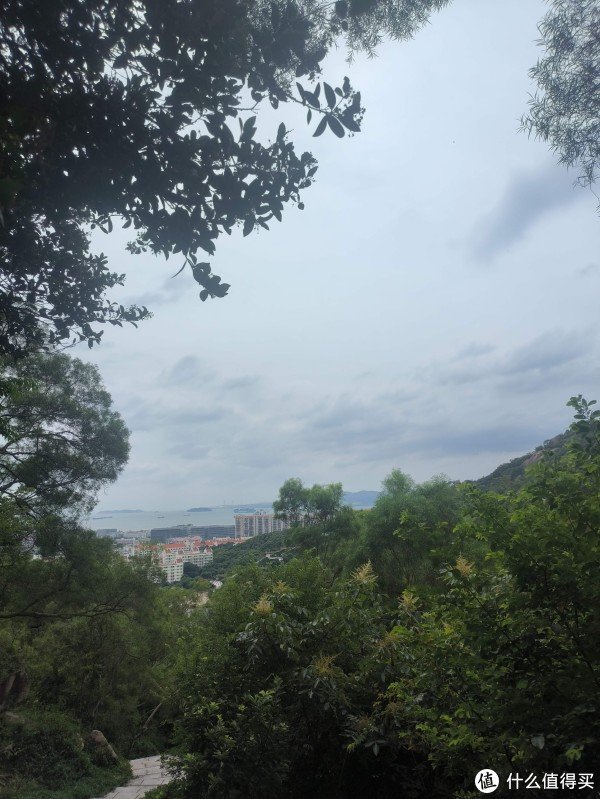 优速配资 双十一厦门植物园：登高望海，邂逅城市氧吧浪漫